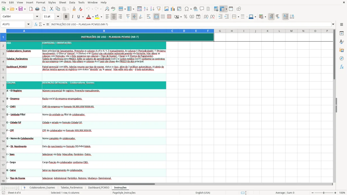 Captura de tela 4: Aba Instruções - Planilha Excel planilha de PCMSO excel