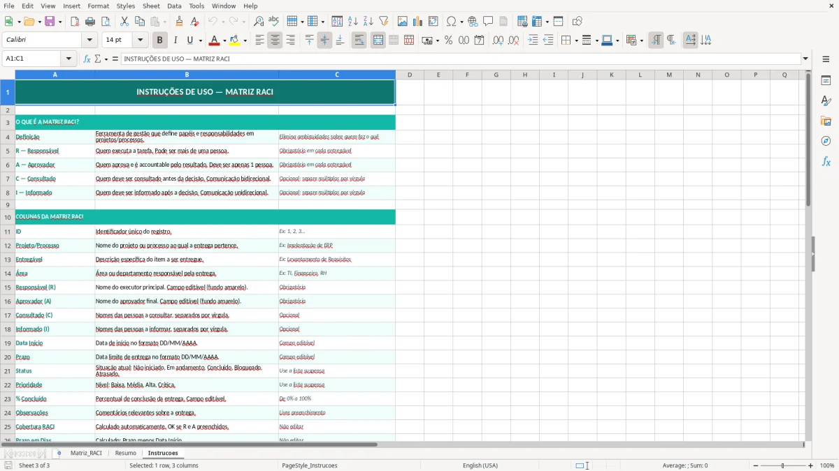 Captura de tela 3: Aba Instrucoes - Planilha Excel planilha de matriz RACI excel